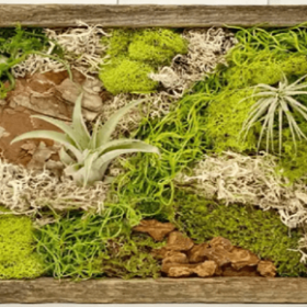 Pic - Moss Wall Art